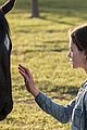 black-beauty-trailer
