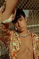 blake-shirtless-mag