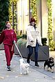 petsch-dog