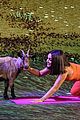 hudgens-goat