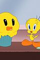 looney-trailer