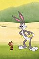 looney-trailer
