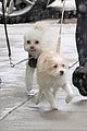 camila-mads-snow