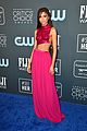 zendaya-critics-nom