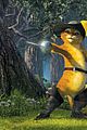 shrek-anniversary
