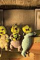 shrek-anniversary