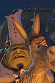 shrek-anniversary