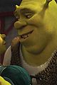 shrek-anniversary