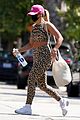 addison-leopard