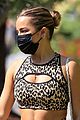 addison-leopard