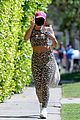 addison-leopard