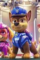 paw-first-look