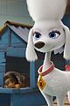 paw-first-look