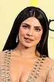 priyanka-bbmas-carpet