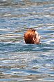 bella-thorne-yellow-bikini-lake-como-with-benjamin-mascolo