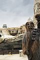 disney-attractions