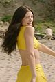 lorde-solarvid