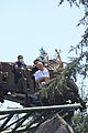 shawmila-coaster