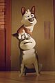 trouble-cast