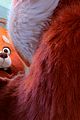 disney-releases-new-trailer-for-turning-red