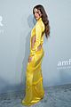 nina-amfar