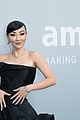 nina-amfar