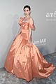 nina-amfar
