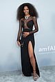 nina-amfar