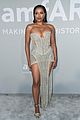 nina-amfar