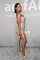 nina-amfar