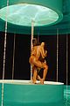 normani-wildvid