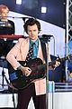 harry-mandates
