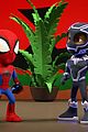 spidey-two