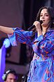 cabello-shawn-global