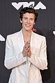 shawn-carpet