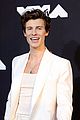shawn-carpet