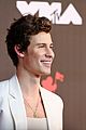 shawn-carpet