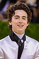 timothee-met