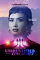 unidentified-trailer