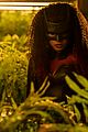 batwoman-returns