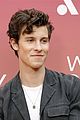 shawn-break