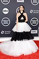 elgort-amas