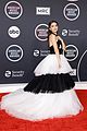 elgort-amas