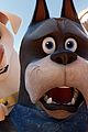 superpets-trailer