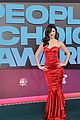 charli-avani