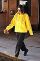 kendall-yellow