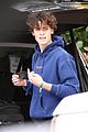 shawn-flies