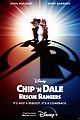 chip-dale
