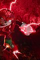 sonic-knuckles