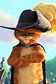 puss-two